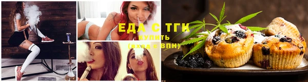 шишки Белокуриха