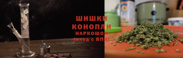 шишки Белокуриха