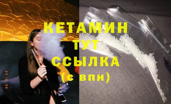 шишки Белокуриха