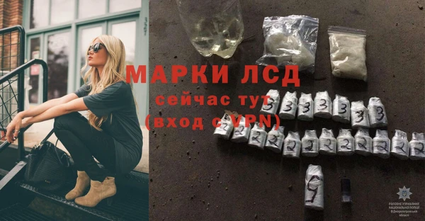 шишки Белокуриха