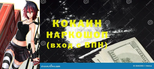 шишки Белокуриха
