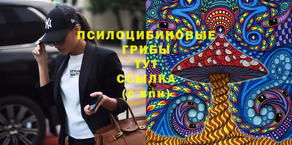 ешки Белоозёрский